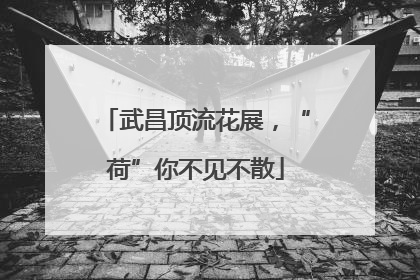 武昌顶流花展，“荷”你不见不散