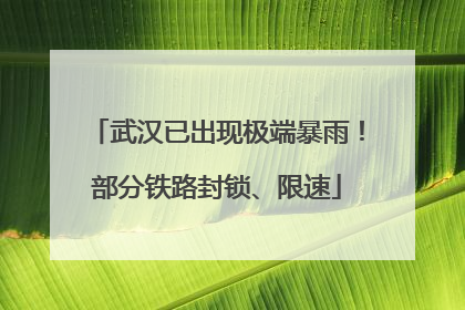 武汉已出现极端暴雨！部分铁路封锁、限速