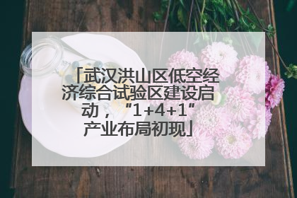 武汉洪山区低空经济综合试验区建设启动，“1+4+1”产业布局初现