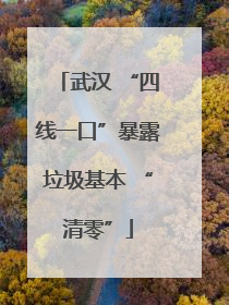 武汉 “四线一口”暴露垃圾基本 “清零”