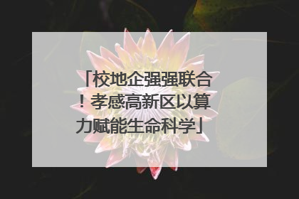 校地企强强联合！孝感高新区以算力赋能生命科学