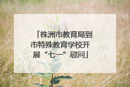 株洲市教育局到市特殊教育学校开展“七一”慰问