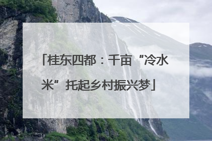 桂东四都：千亩“冷水米”托起乡村振兴梦
