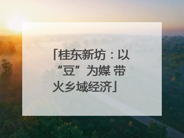 桂东新坊：以“豆”为媒 带火乡域经济