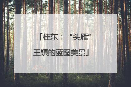 桂东：“头雁”王镇的蓝图美景