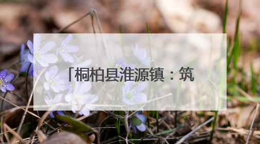 桐柏县淮源镇：筑牢道路安全防线 守护群众出行平安