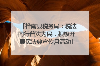桦南县税务局：税法同行普法为民，积极开展民法典宣传月活动