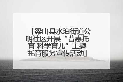 梁山县水泊街道公明社区开展“普惠托育 科学育儿”主题托育服务宣传活动
