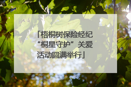 梧桐树保险经纪“桐星守护”关爱活动圆满举行