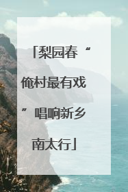 梨园春“俺村最有戏”唱响新乡南太行