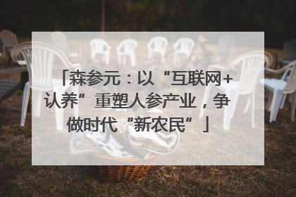 森参元：以“互联网+认养”重塑人参产业，争做时代“新农民”