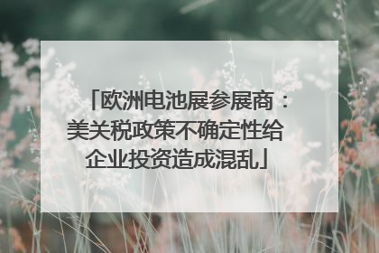 欧洲电池展参展商：美关税政策不确定性给企业投资造成混乱