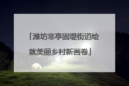 潍坊寒亭固堤街道绘就美丽乡村新画卷