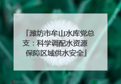 潍坊市牟山水库党总支：科学调配水资源 保障区域供水安全
