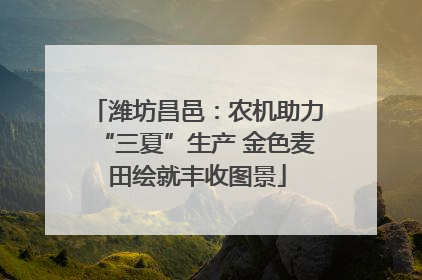 潍坊昌邑：农机助力“三夏”生产 金色麦田绘就丰收图景