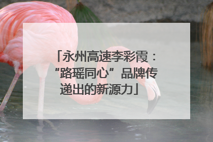永州高速李彩霞：“路瑶同心”品牌传递出的新源力