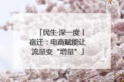 民生·深一度丨宿迁：电商赋能让流量变“增量”