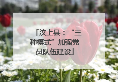 汶上县：“三种模式”加强党员队伍建设