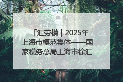 汇劳模｜2025年上海市模范集体——国家税务总局上海市徐汇区税务局第一税务所