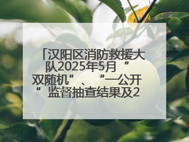 汉阳区消防救援大队2025年5月“双随机”、“一公开”监督抽查结果及2025年6月监督抽查任务公示