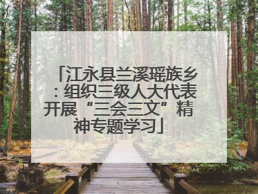 江永县兰溪瑶族乡：组织三级人大代表开展“三会三文”精神专题学习
