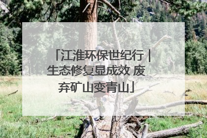 江淮环保世纪行｜生态修复显成效 废弃矿山变青山