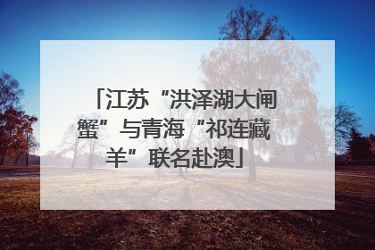 江苏“洪泽湖大闸蟹”与青海“祁连藏羊”联名赴澳