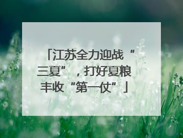 江苏全力迎战“三夏”，打好夏粮丰收“第一仗”