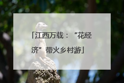 江西万载：“花经济”带火乡村游