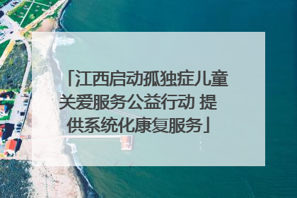 江西启动孤独症儿童关爱服务公益行动 提供系统化康复服务