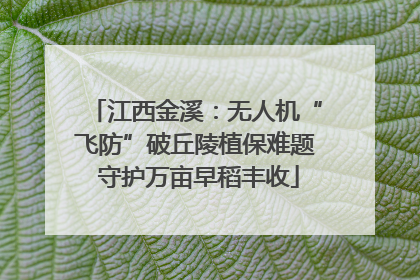 江西金溪：无人机“飞防”破丘陵植保难题 守护万亩早稻丰收
