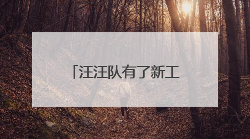 汪汪队有了新工作 美国一机场出动牧羊犬驱鸟