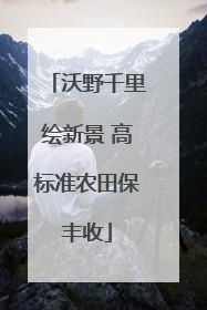 沃野千里绘新景 高标准农田保丰收
