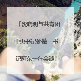 沈晓明与共青团中央书记处第一书记阿东一行会谈