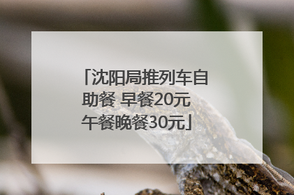 沈阳局推列车自助餐 早餐20元午餐晚餐30元