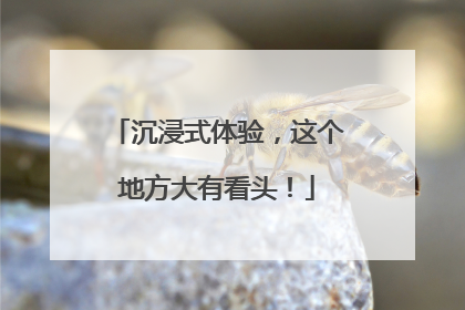 沉浸式体验，这个地方大有看头！