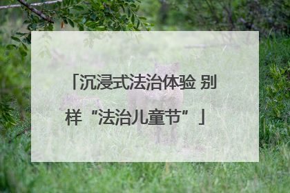 沉浸式法治体验 别样“法治儿童节”