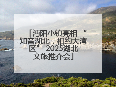 沔阳小镇亮相 “知音湖北，相约大湾区” 2025湖北文旅推介会