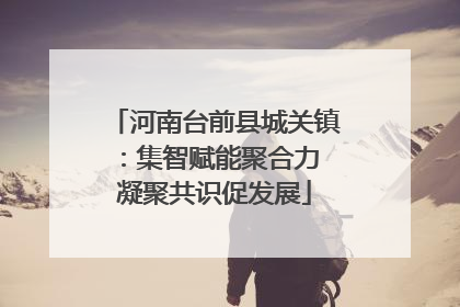 河南台前县城关镇：集智赋能聚合力 凝聚共识促发展