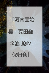 河南固始县：麦田翻金浪 抢收保归仓