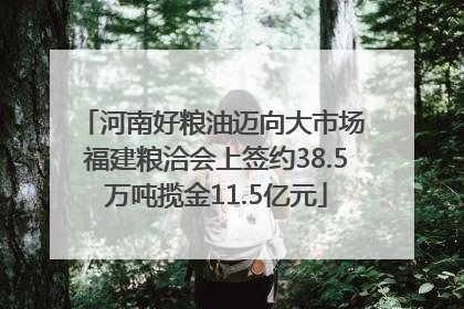 河南好粮油迈向大市场 福建粮洽会上签约38.5万吨揽金11.5亿元