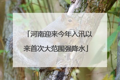 河南迎来今年入汛以来首次大范围强降水