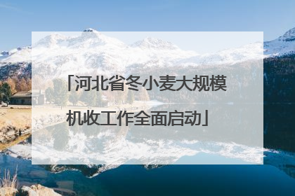 河北省冬小麦大规模机收工作全面启动