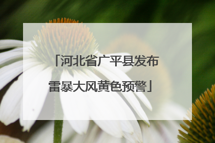 河北省广平县发布雷暴大风黄色预警