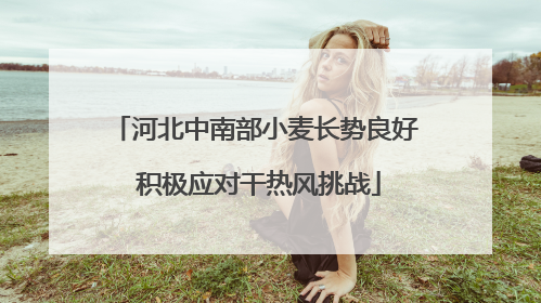 河北中南部小麦长势良好 积极应对干热风挑战