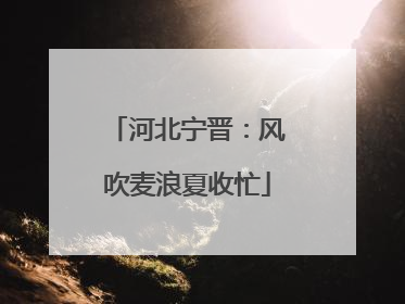 河北宁晋：风吹麦浪夏收忙