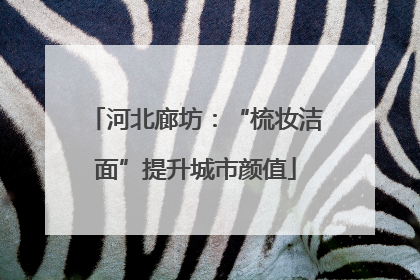 河北廊坊：“梳妆洁面”提升城市颜值