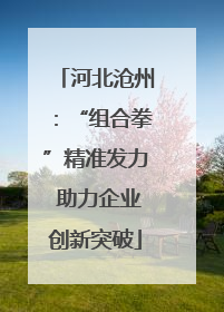 河北沧州：“组合拳”精准发力 助力企业创新突破