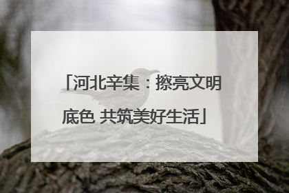 河北辛集：擦亮文明底色 共筑美好生活