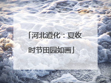 河北遵化：夏收时节田园如画